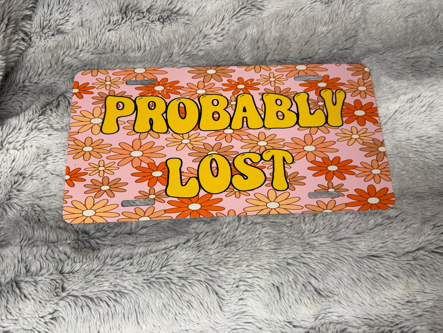 Probably Lost License Plate