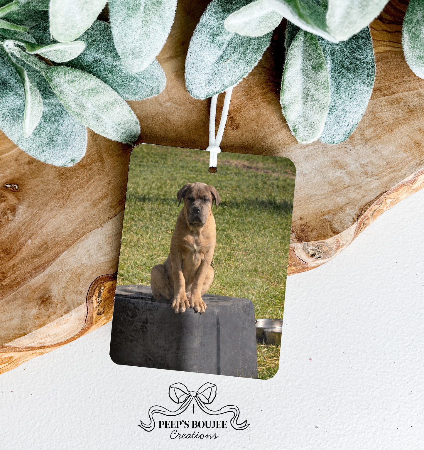 Custom Photo Air Freshener